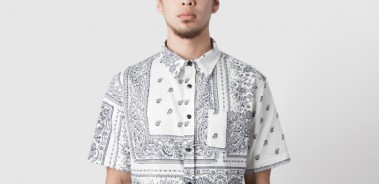 Style Wise: 10 kortærmede skjorter