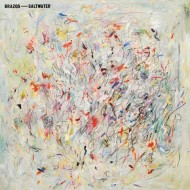 Micachu and the Shapes - Never