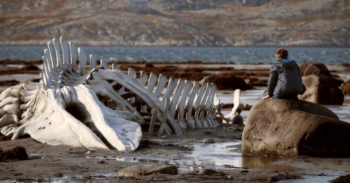 Cannes-highlights, dag 9: Vodka-stive russere skyder til måls efter Stalin