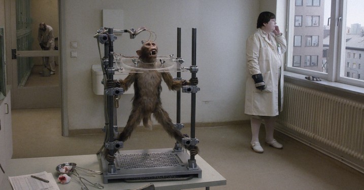 Mesteren Roy Andersson: »Lars von Trier er lidt overvurderet«