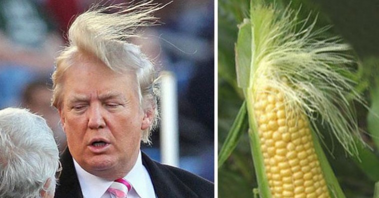 Ugens internethøjdepunkter: Er Donald Trump præsidentkandidaturets Hannah Montana?