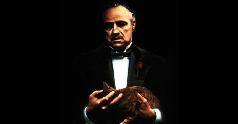 Fra æresmænd til stjernepsykopater: Filmverdenens gangsterbosser i fire kategorier