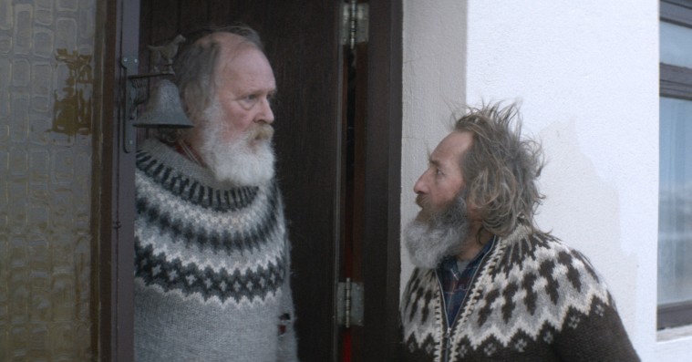 ’Blandt mænd og får’: Islandsk Cannes-vinder er tørt humoristisk og rørende