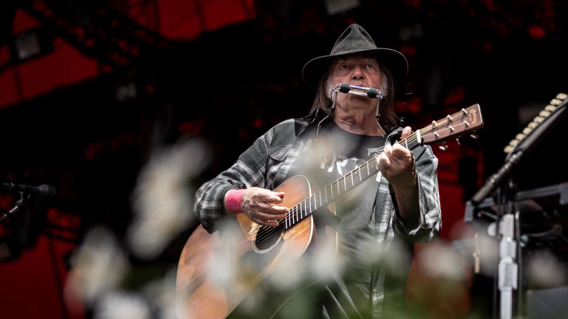 Neil Young helmer ikke, før han har fået Donald Trump til at stoppe