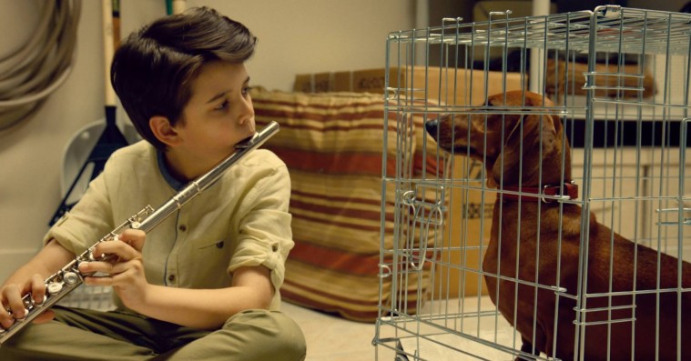 ‘Wiener-Dog’: Det vrimler med fucked up eksistenser i ustyrligt morsom udstilling af livets absurditet