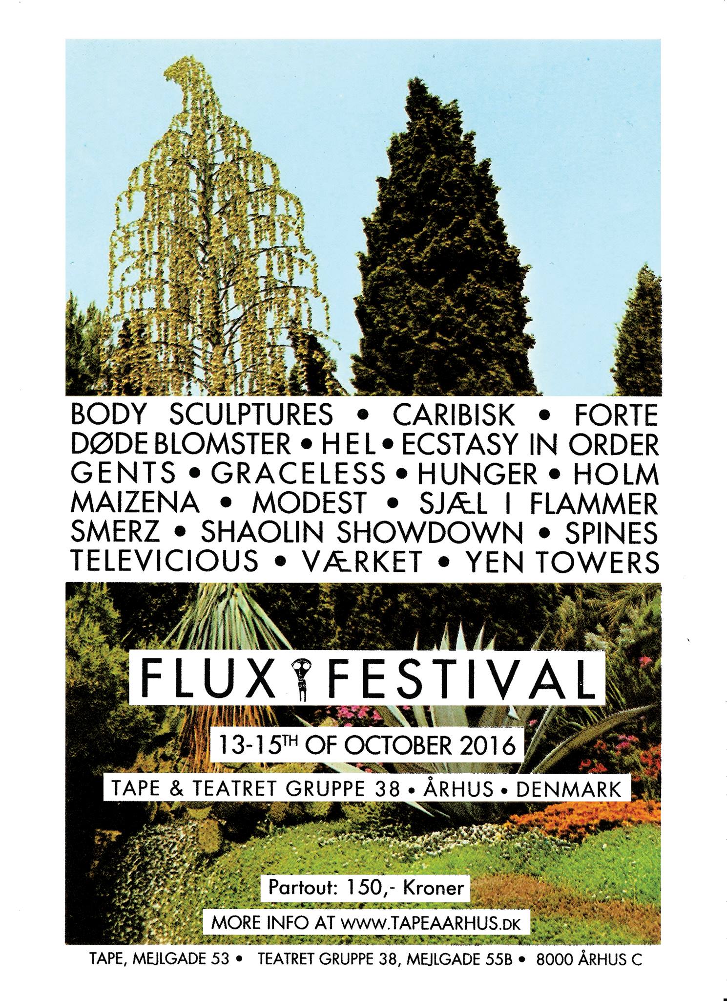 Flux Festival