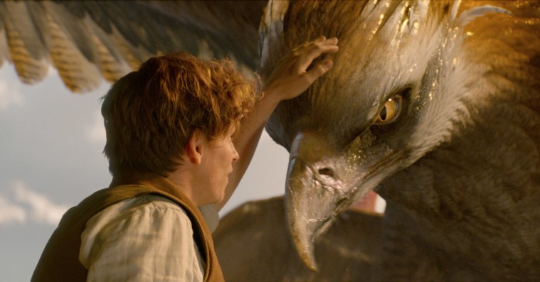 De første internationale anmeldelser af ‘Fantastiske skabninger… og hvor de findes’ er sluppet løs