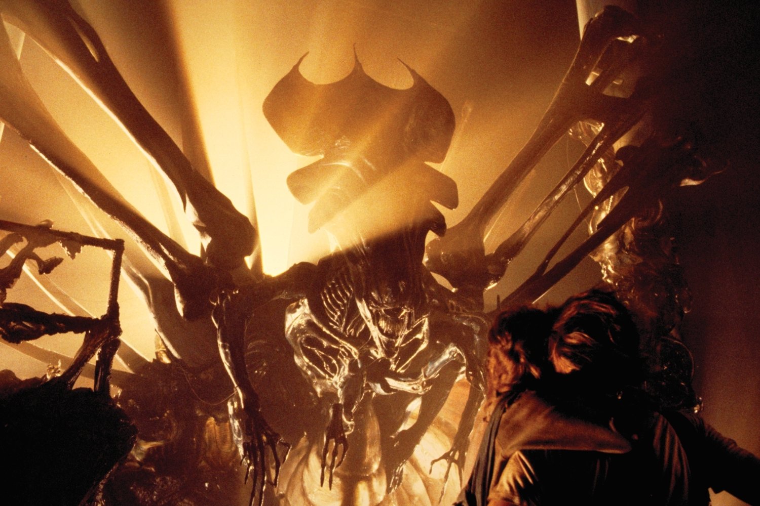 Alle ’Alien’-filmene – rangeret fra værst til bedst / Før 'Covenant'