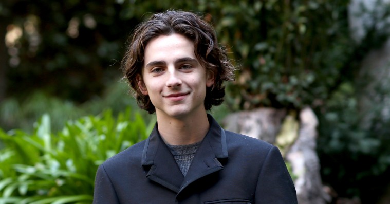 Timothée Chalamet er det største talent, Hollywood har set længe