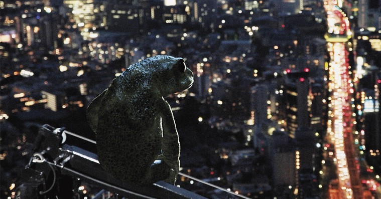 ’Dreaming Murakami’: En dejligt nørdet film om Murakamis danske oversætter