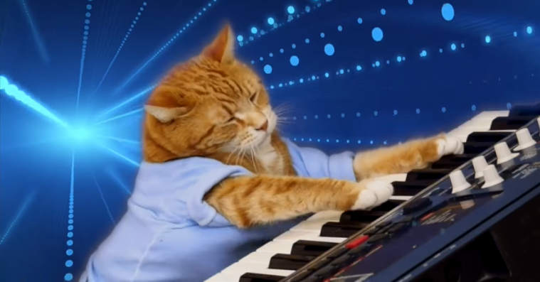 Keyboard Cat er død