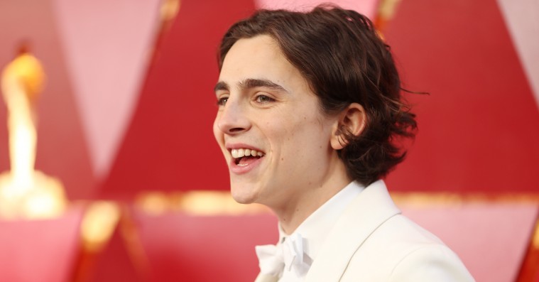 Timothée Chalamet gik til casting på Nicolas Winding Refn-film – men fik den kolde skulder