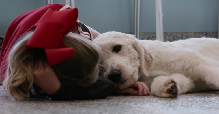 ‘Hunde’: Hvordan min hund og jeg snøftede os gennem forbløffende god Netflix-serie