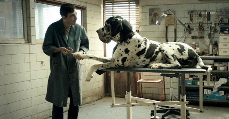 ‘Dogman’: ‘Gomorra’-instruktørs medrivende krimi-fabel ender i et voldsomt sammenstød