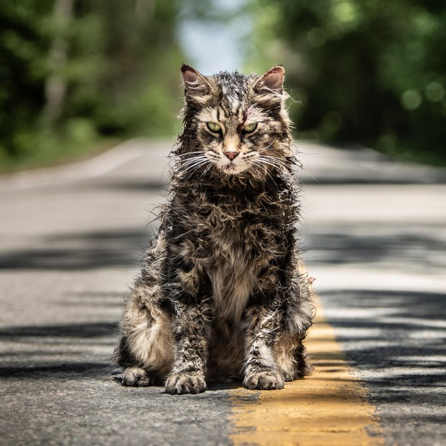 Tæt klimaks Agurk Pet Sematary': Rørende gys med frygtindgydende kat er helt i Stephen Kings  ånd / Film