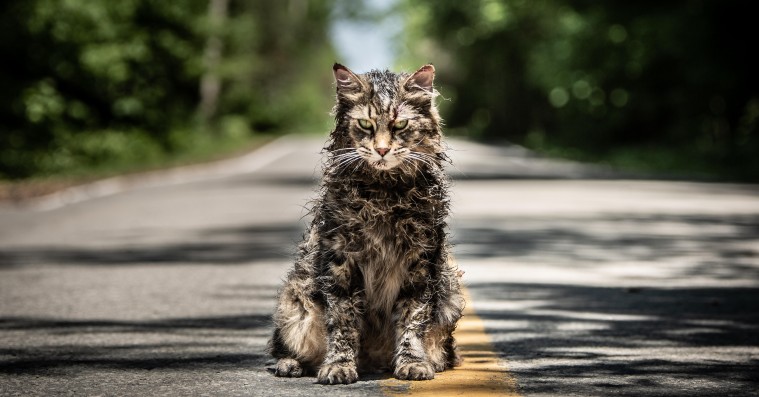 ’Pet Sematary’: Rørende gys med frygtindgydende kat er helt i Stephen Kings ånd