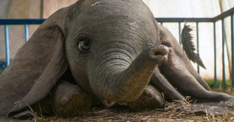 ‘Dumbo’: Tim Burtons babyelefant smelter dit hjerte i åndeløst flot Disney-filmatisering