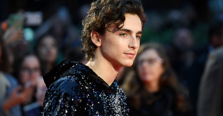 Timothée Chalamet slår et slag for hættetrøjen på den røde løber