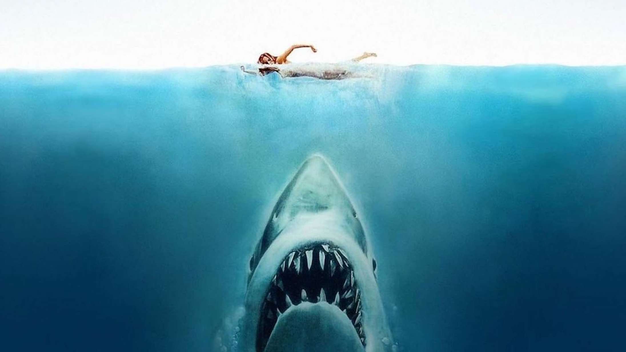 Steven Spielberg fortryder én ting, når det gælder ‘Jaws’