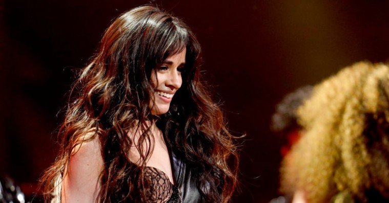 Camila Cabello og Harry Styles kæmper begge med at finde sig selv – men af helt forskellige årsager