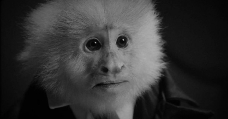 David Lynch udgiver mystisk kortfilm på Netflix