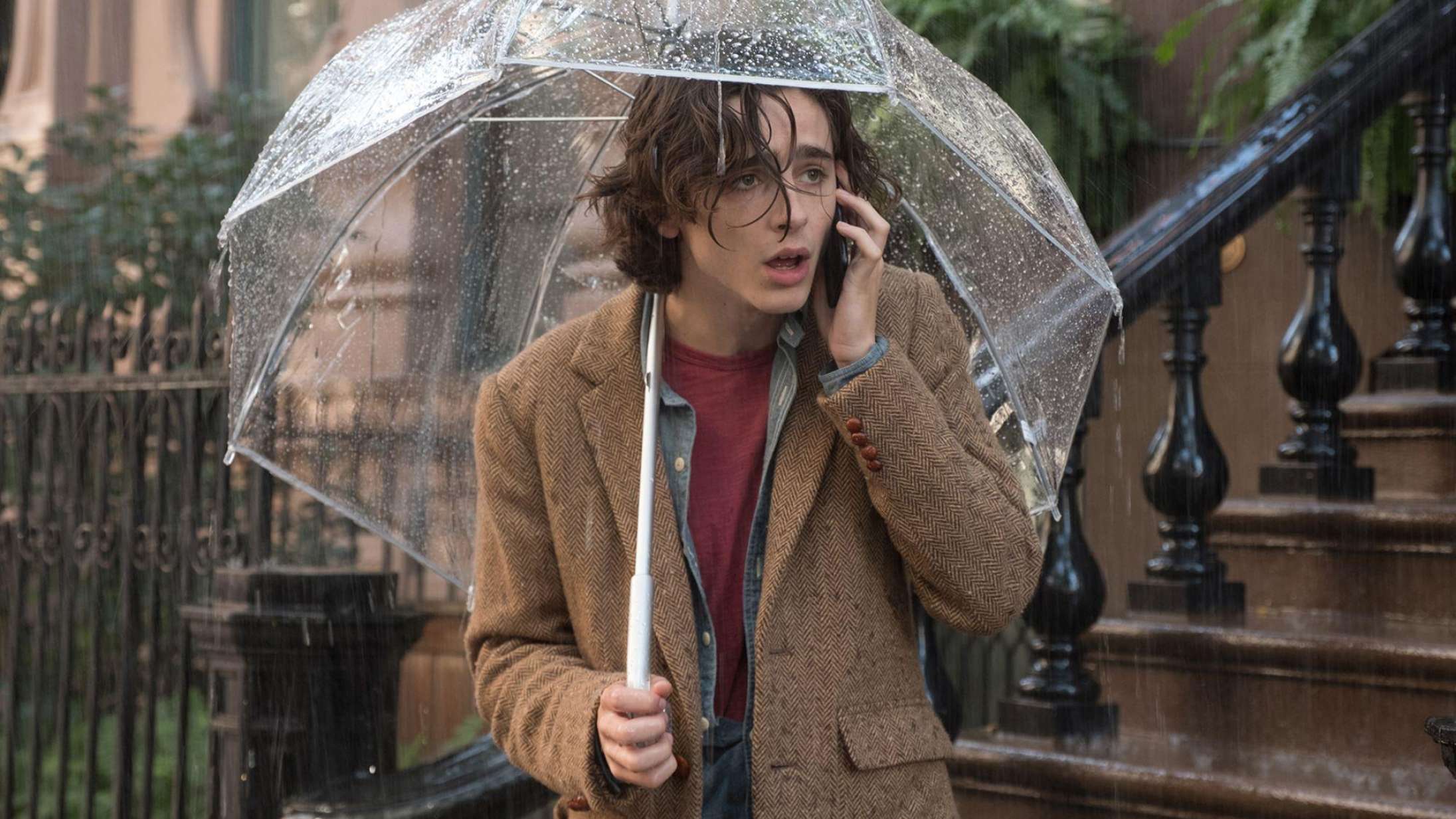’A Rainy Day in New York’: Woody Allens replikker lyder skrupforkerte i Timothée Chalamets mund