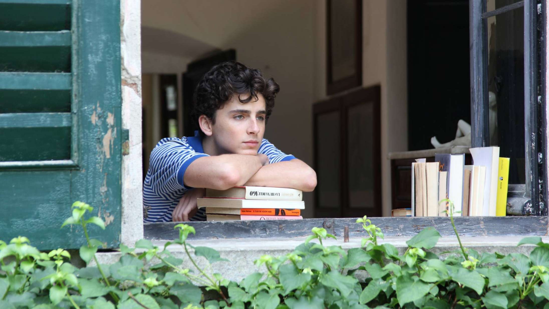 Genforening mellem Timothée Chalamet og ‘Call Me By Your Name’-instruktør  på trapperne