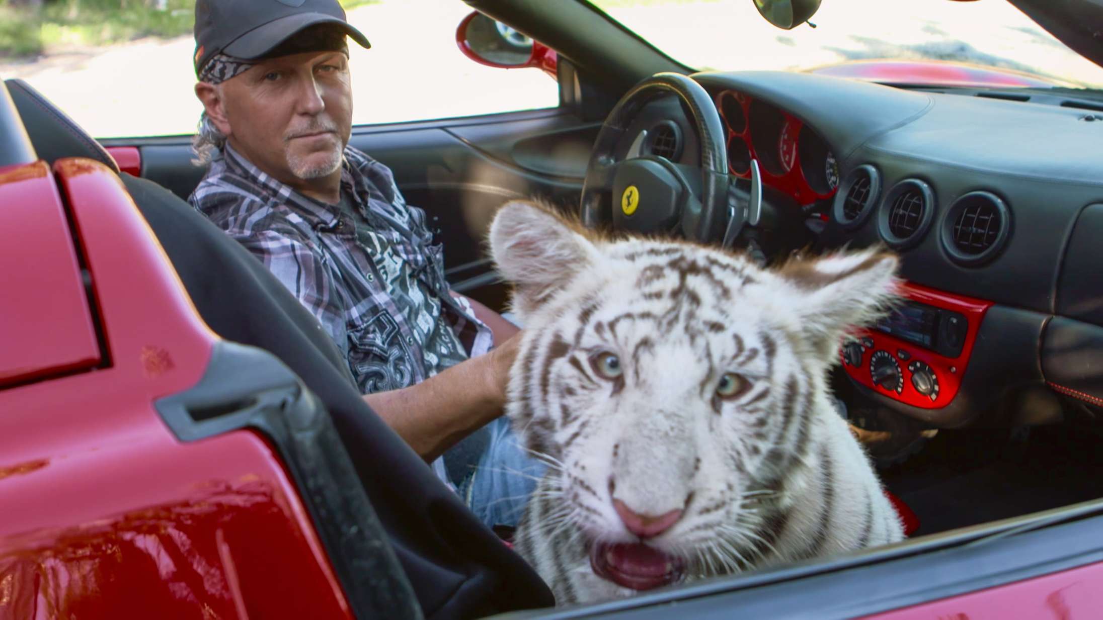 Nyt ’Tiger King’-afsnit undervejs – originalholdet undersøger tigerangreb i Las Vegas