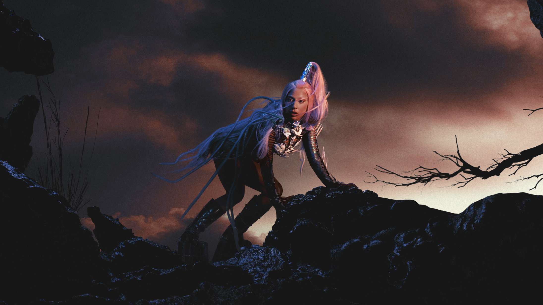 Jeg håber, at Lady Gaga lægger cowboyhatten på hylden og omfavner sit indre monster igen