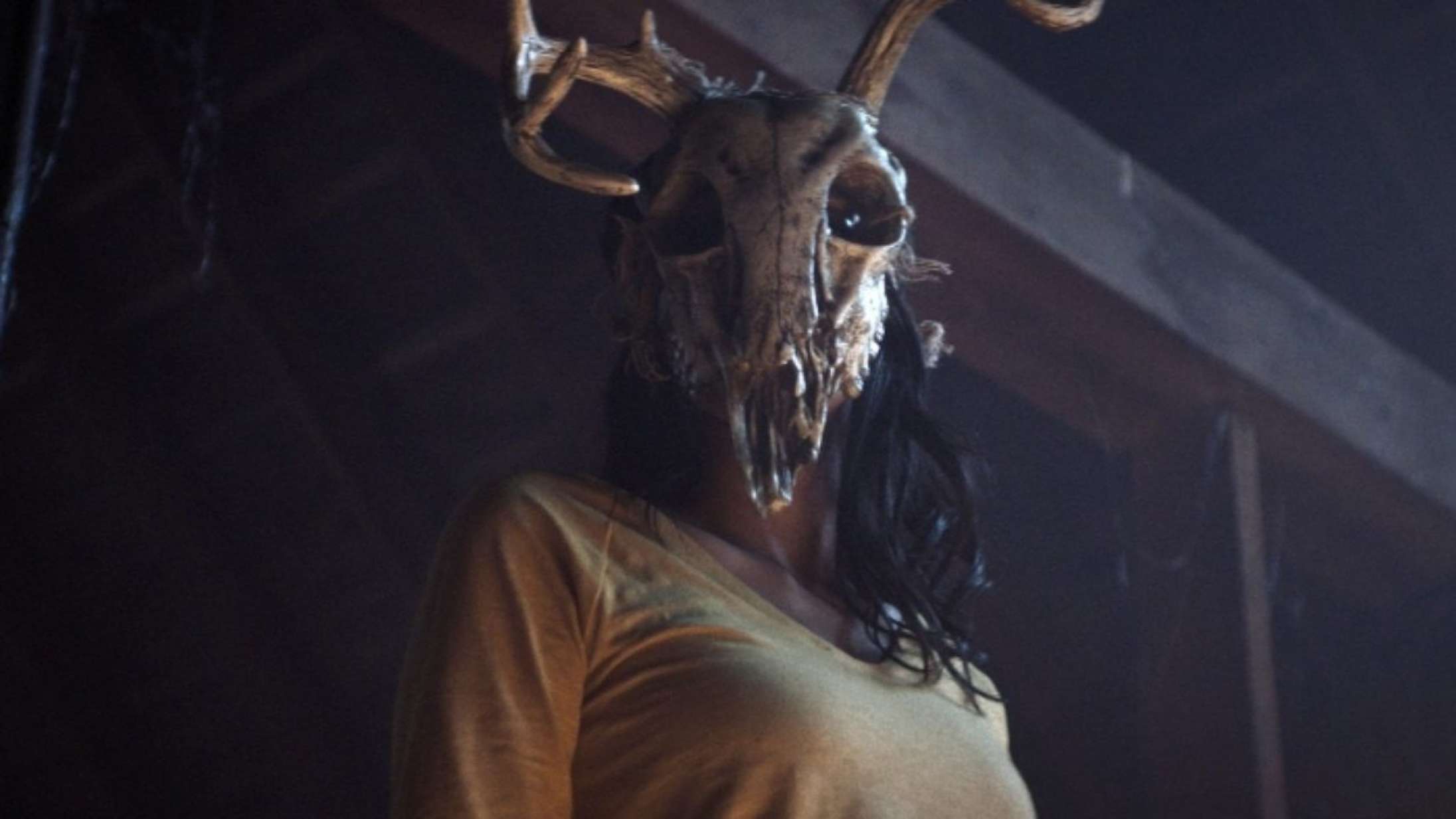 ’The Wretched’: Overraskende gyserhit er perfekt til sommernætterne