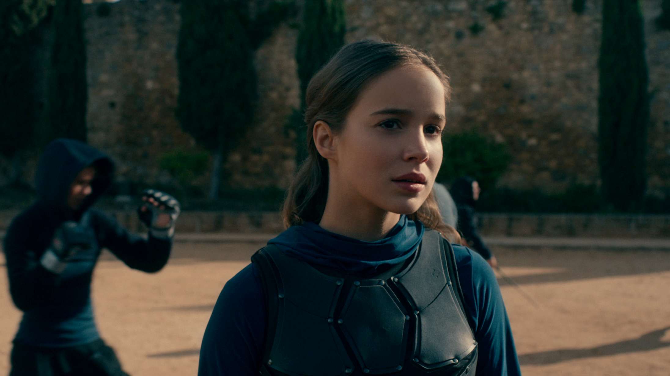 Fans starter viral kampagne for at genoplive droppet Netflix-serie