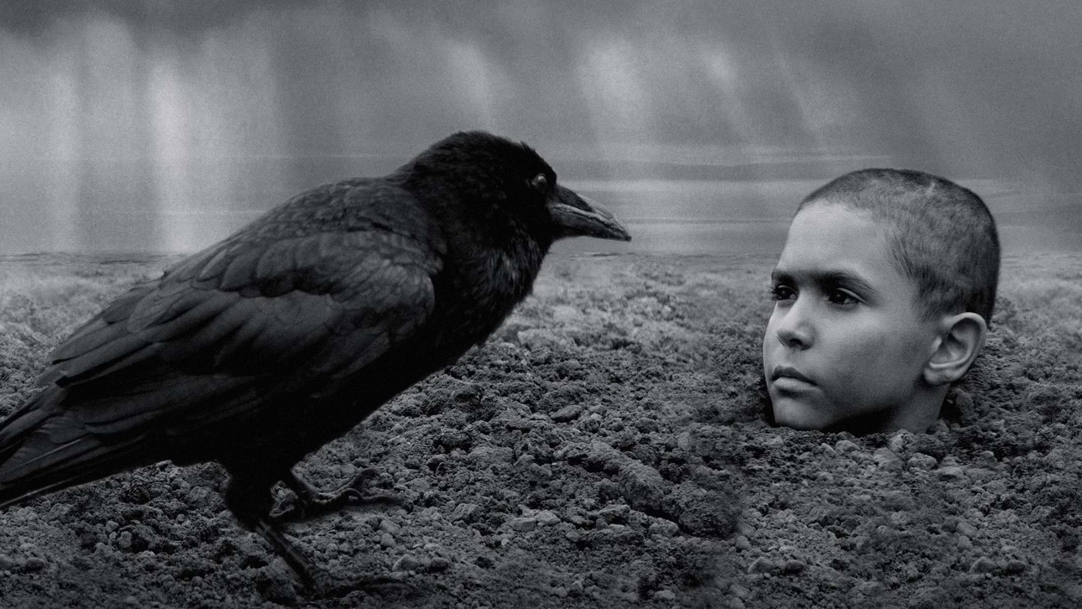 ‘The Painted Bird’: Ekstremt brutal krigsfilm vil så gerne være et mesterværk