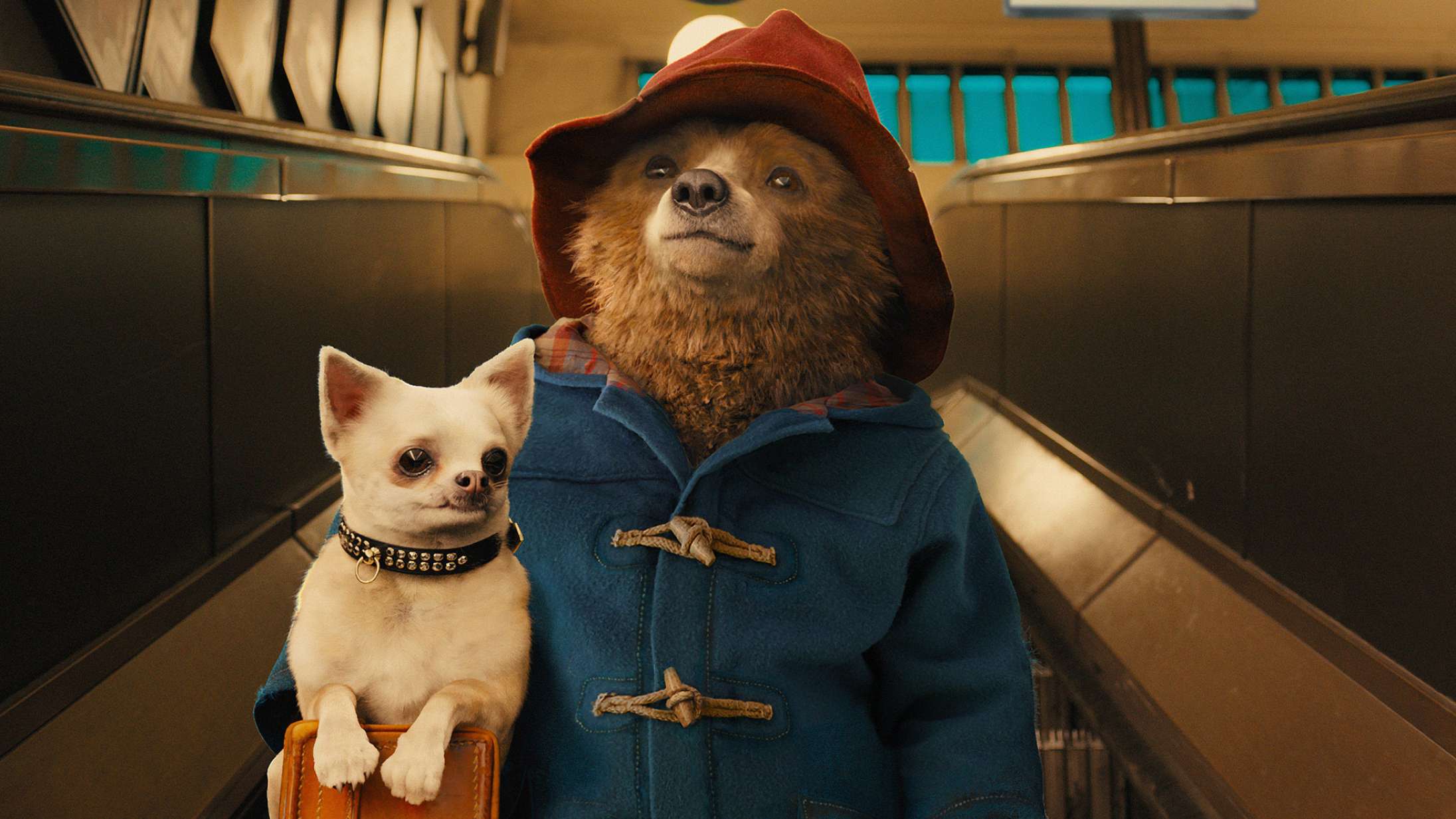 ‘Paddington 3’ er endelig på vej