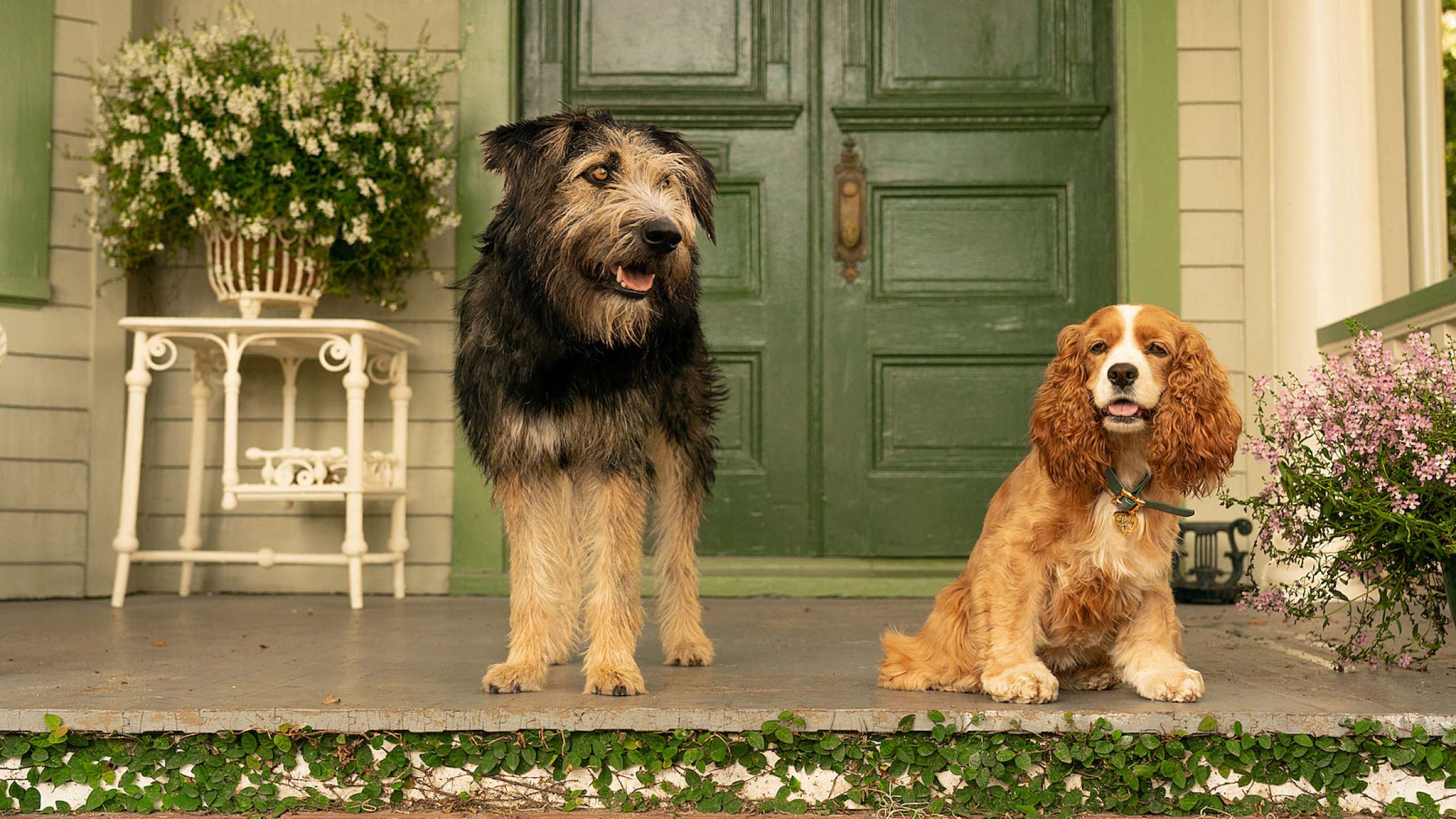 ’Lady og Vagabonden’: Nu bliver det personligt, Disney