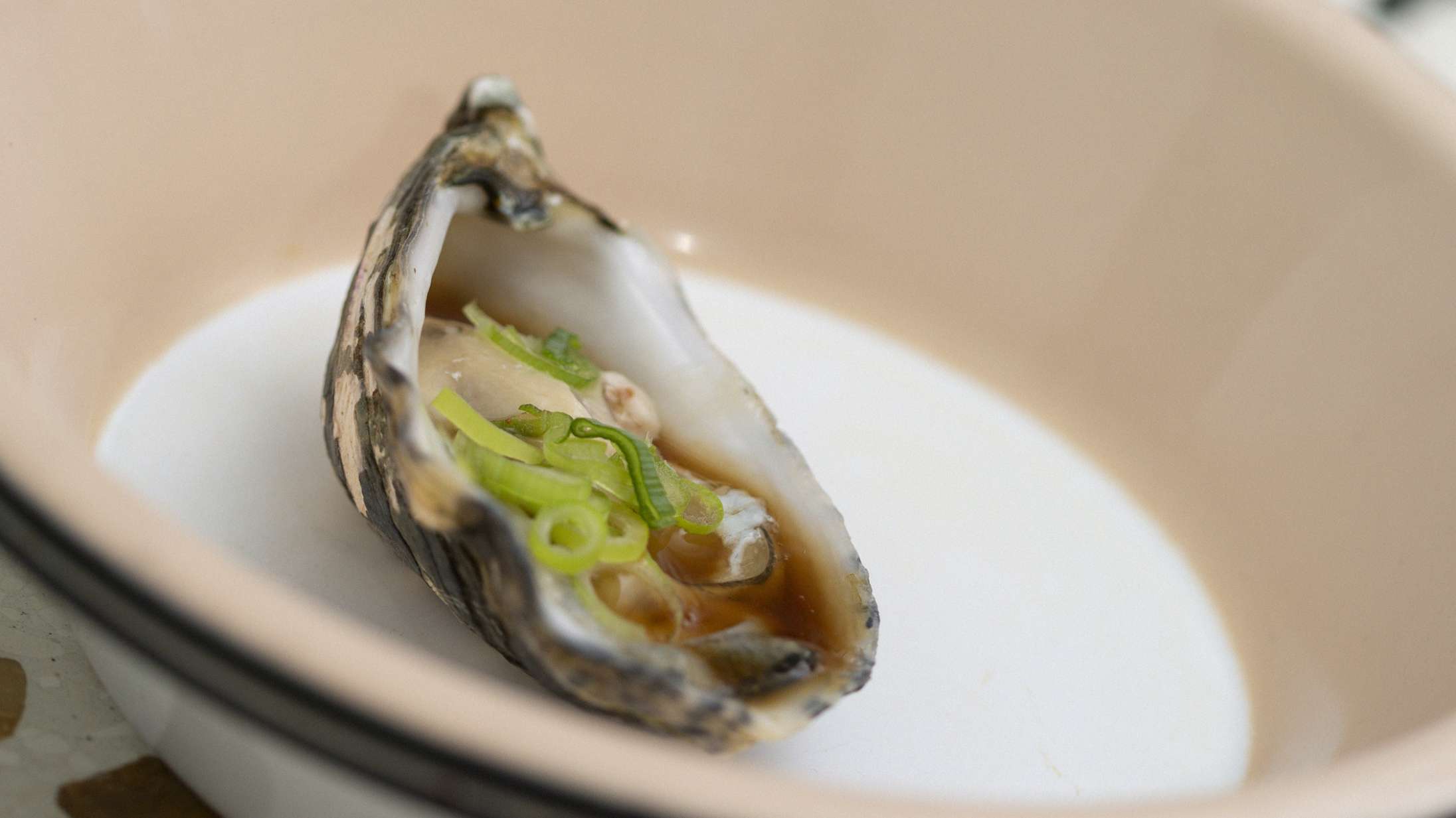 En begynderguide til dig, der tror, du ikke kan lide østers