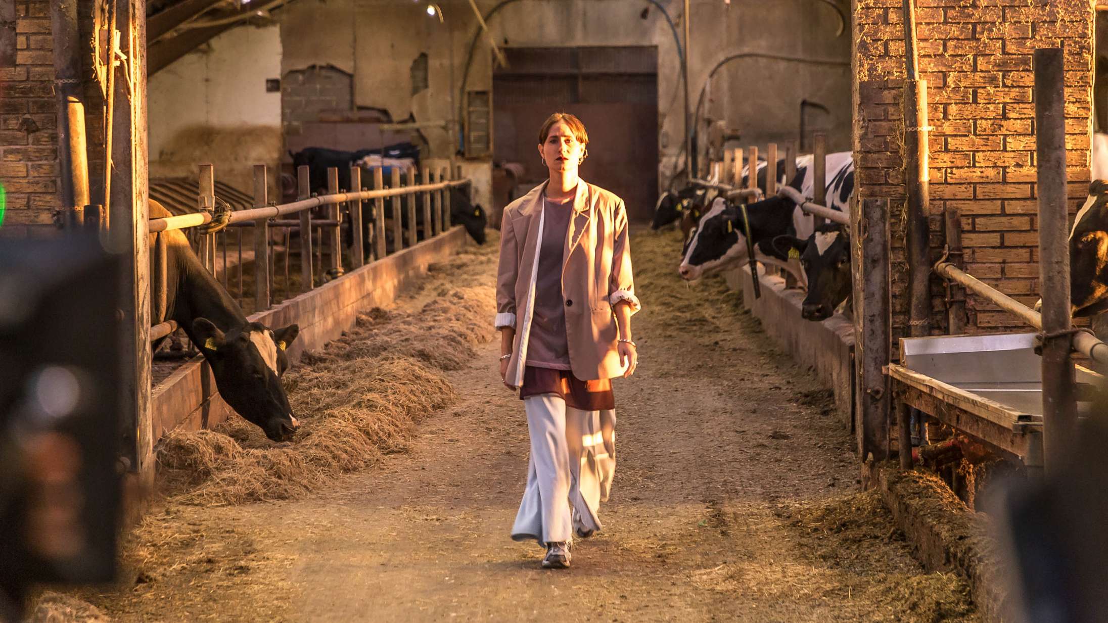 ‘Hvor kragerne vender’ og ‘Flugt’ sejrer ved årets Robert-uddeling – se alle vinderne