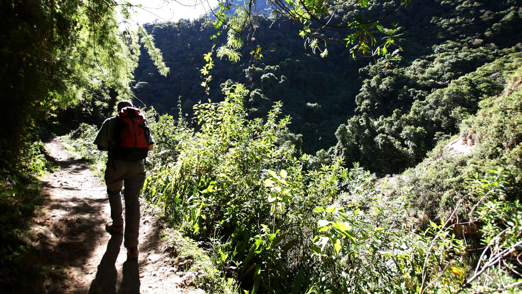 Fem ting du skal have styr på, før du køber vandresko