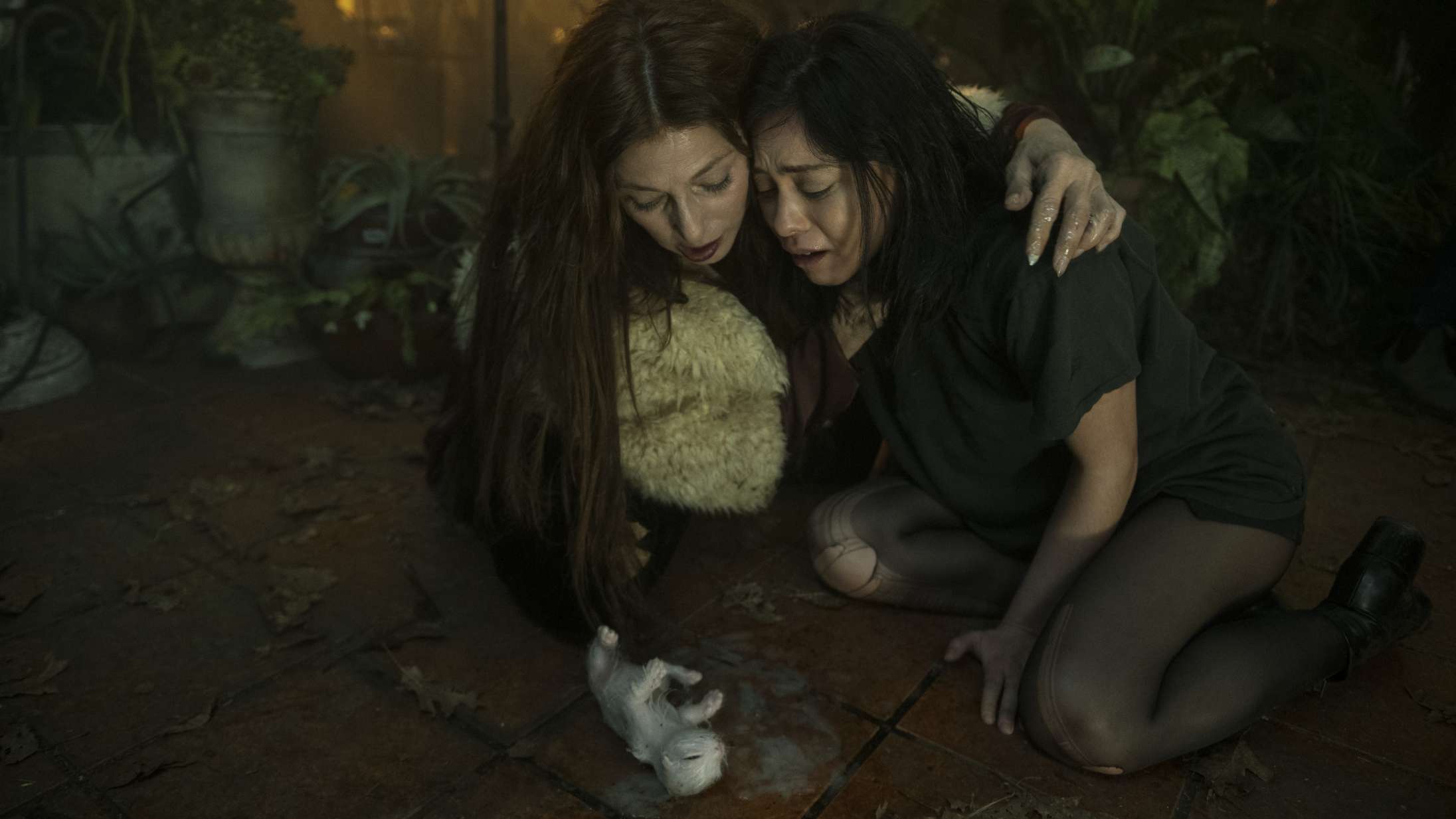 ’Brand New Cherry Flavor’: Netflix’ nye horrorserie er et ondt syretrip af den herlige slags