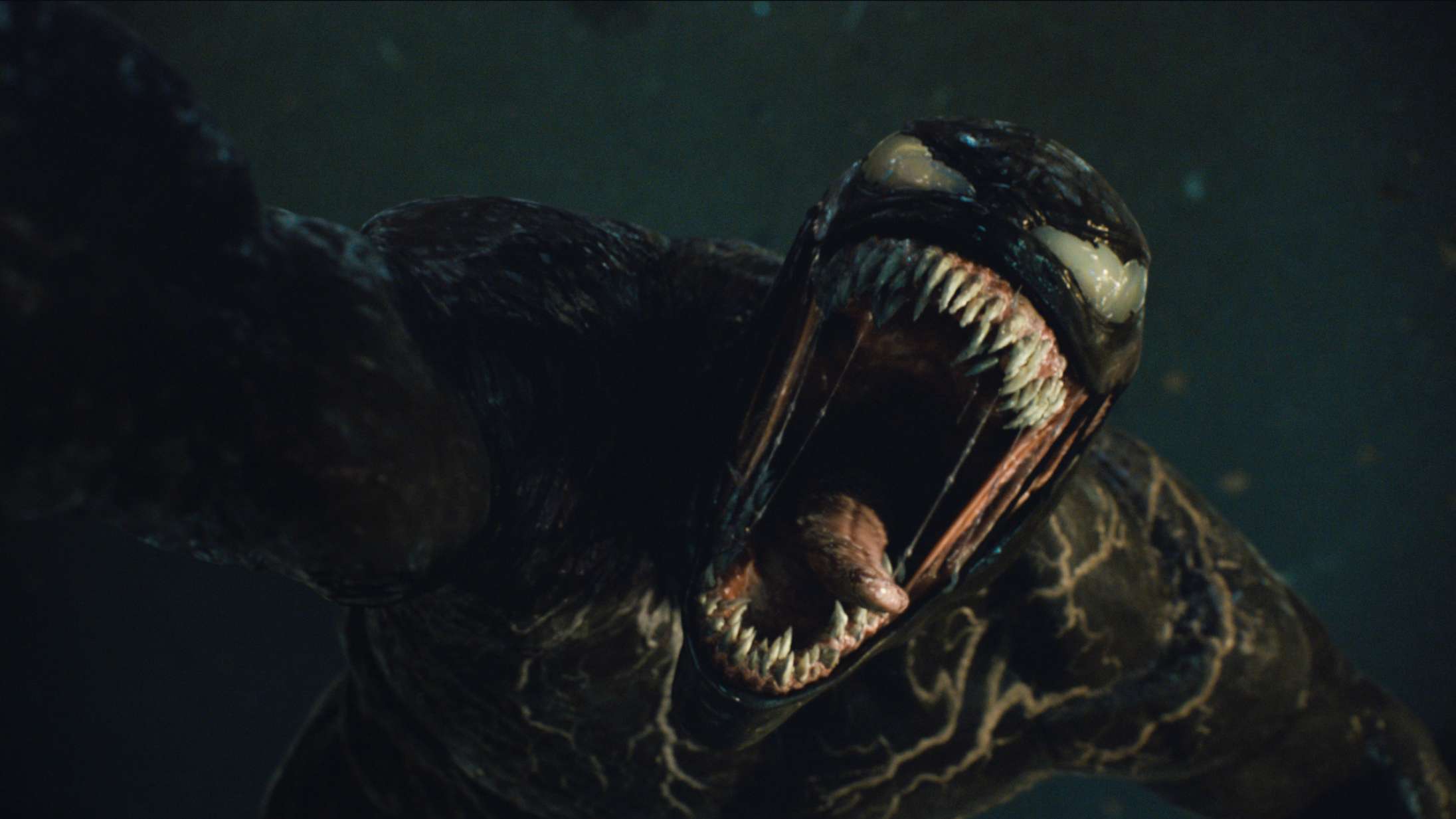’Venom: Let There Be Carnage’: Er Tom Hardy-toer et queer-hovedværk? Den er god nok!