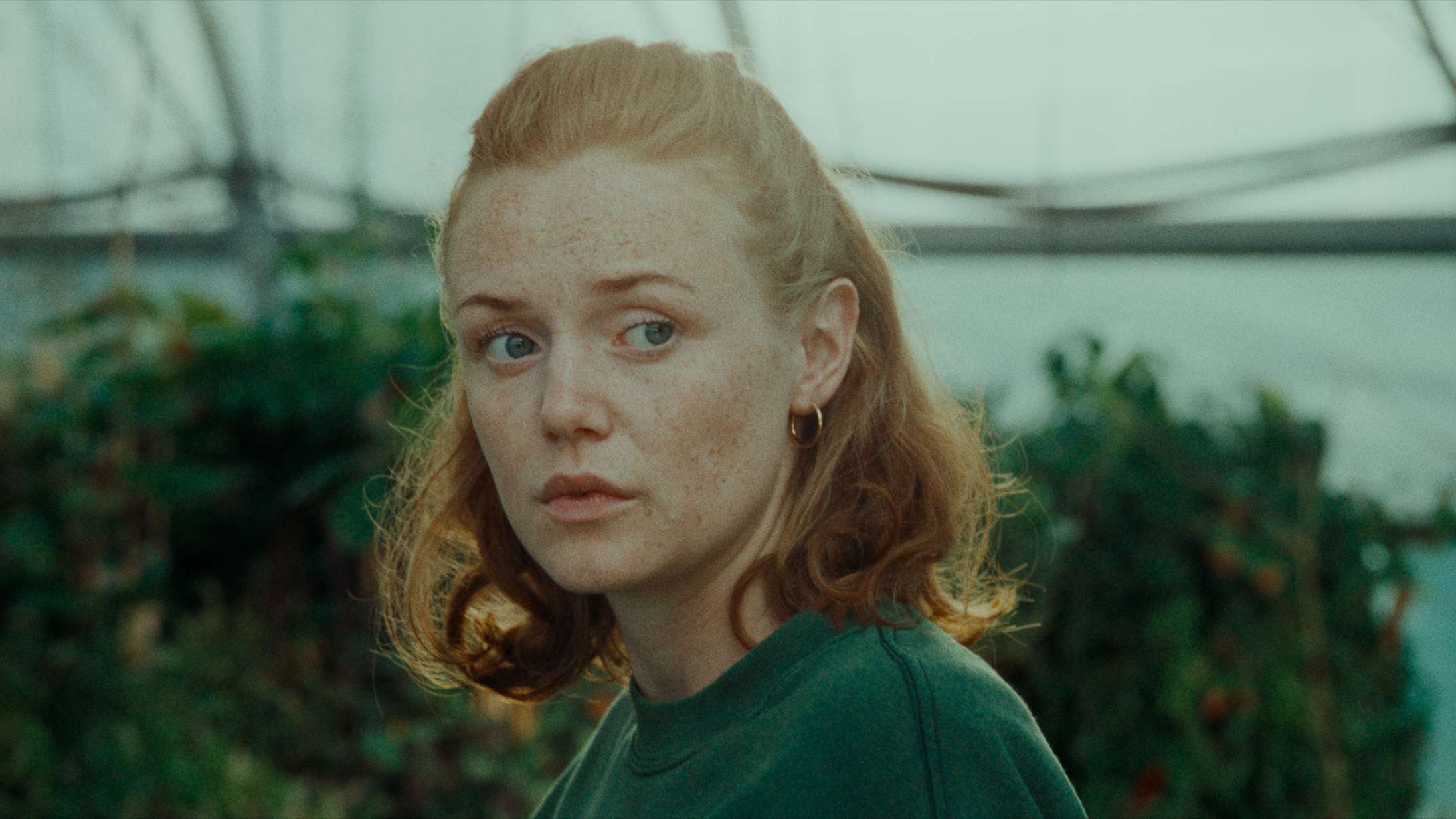 Årets Robert-nomineringer er ude: ‘Venuseffekten’ og ‘Margrete den Første’ forrest i feltet