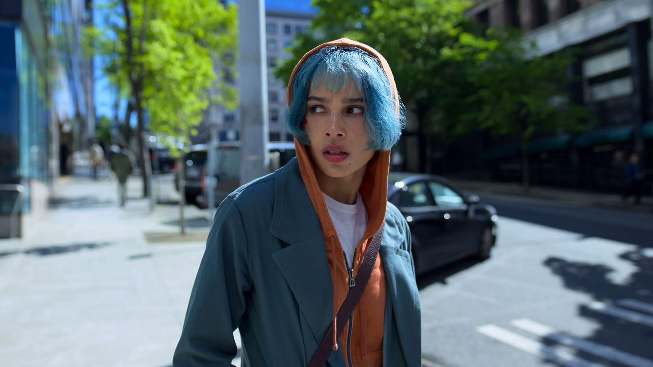 Disse film skal du streame i februar – fra Tinder-svindler til Wes Andersons nyeste