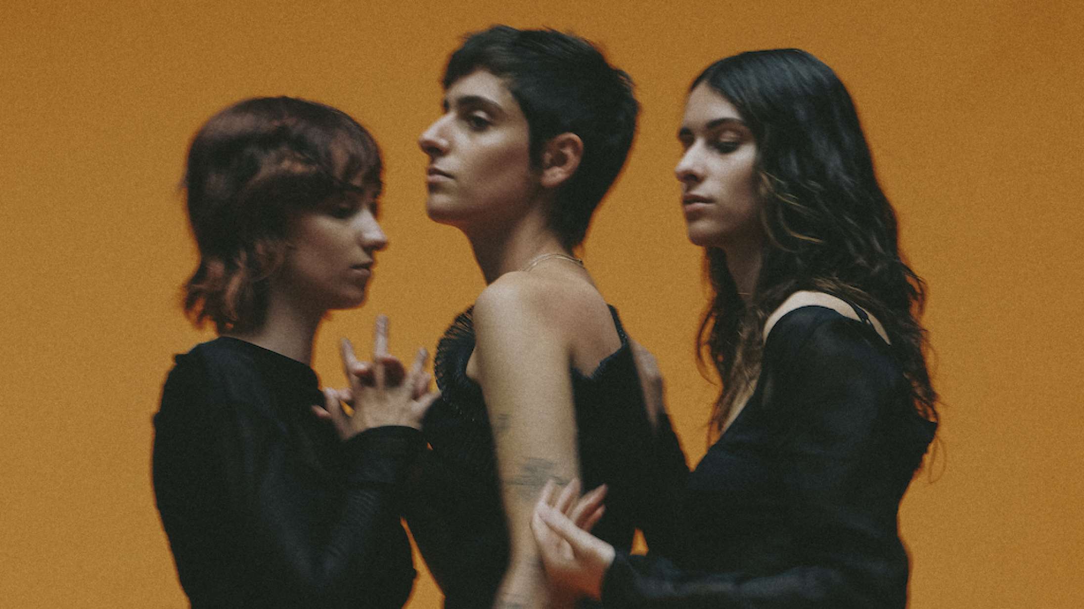 ‘Nest’: Velvet Volumes radikale genreskift har resulteret i deres hidtil bedste album