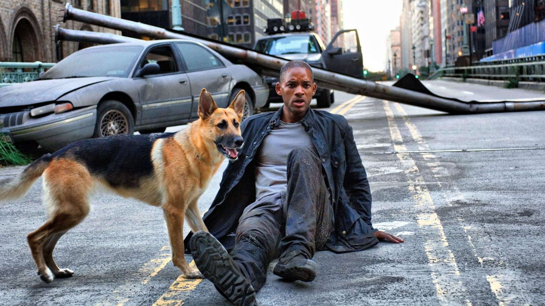Will Smith og Michael B. Jordan skal spille over for hinanden i ‘I Am Legend’-efterfølger
