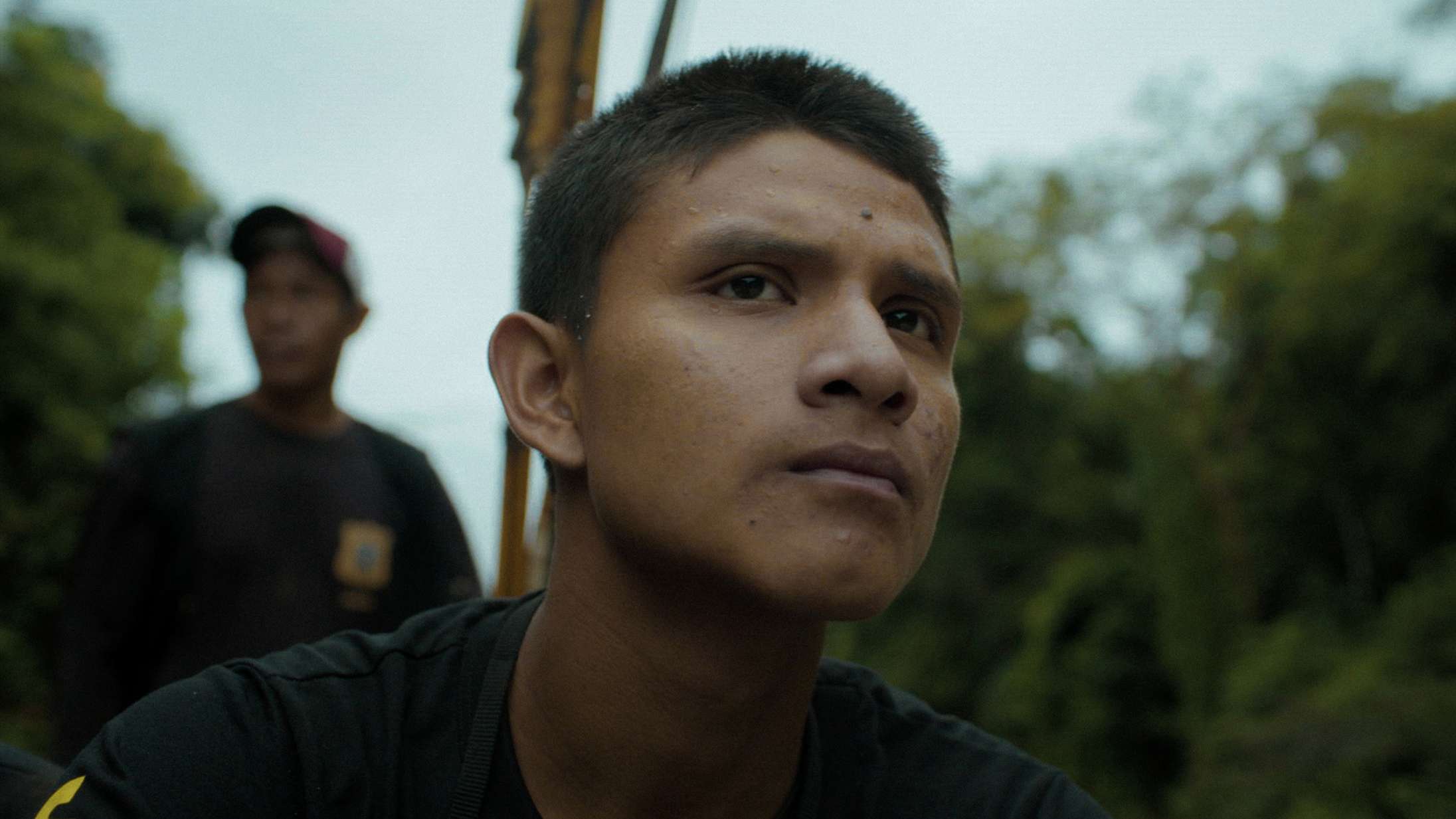 ’The Territory’: Aldrig har en træfældning været så hjerteskærende som i danskproduceret Sundance-vinder