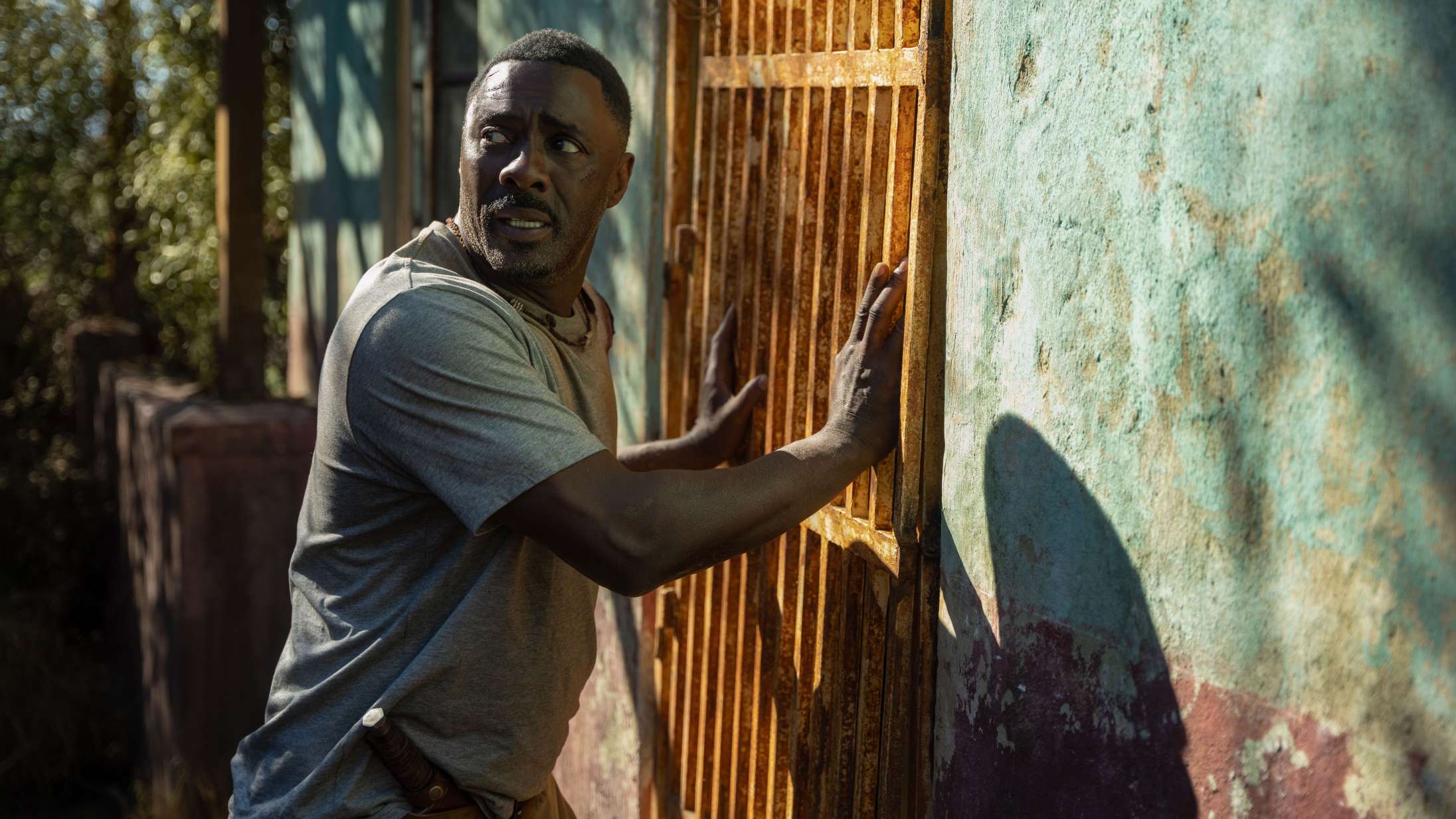 ‘Beast’: Idris Elba vs. kæmpeløve er svært at tro på og umuligt at tage øjnene fra