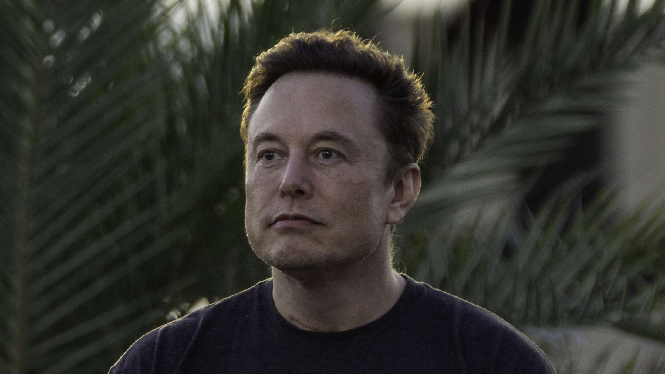 Nazi-memes og racisme eksploderer på Twitter efter Elon Musks opkøb