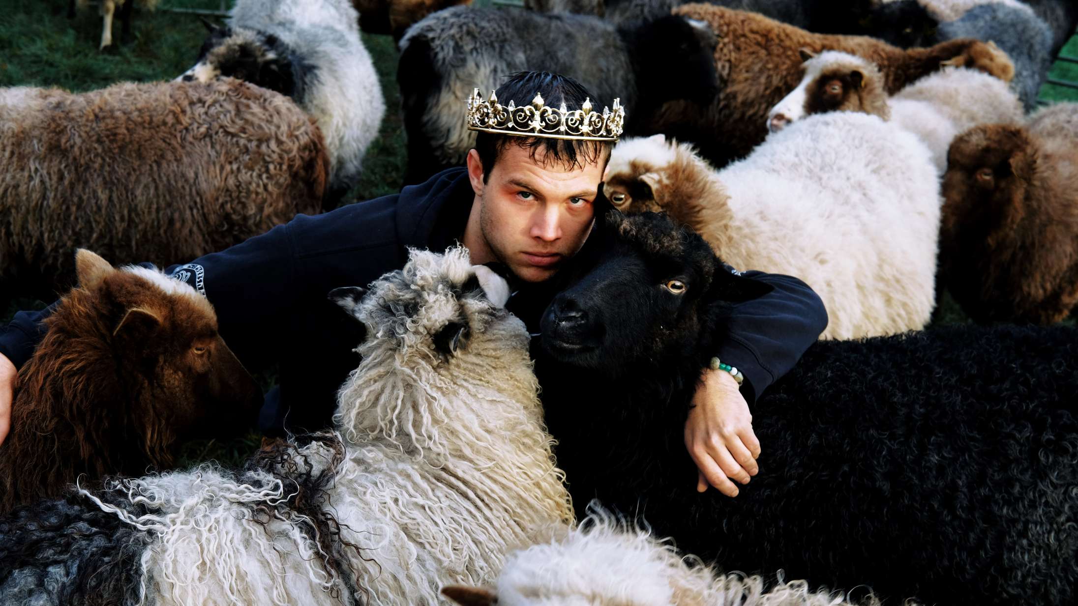 En ny bølge af følsomme danske fyre fucker lige nu med din forestilling om den mandlige musiker