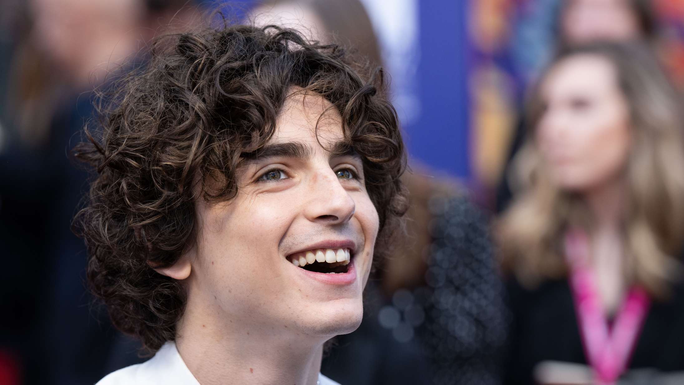Timothée Chalamet skal selv synge i kommende Bob Dylan-biopic