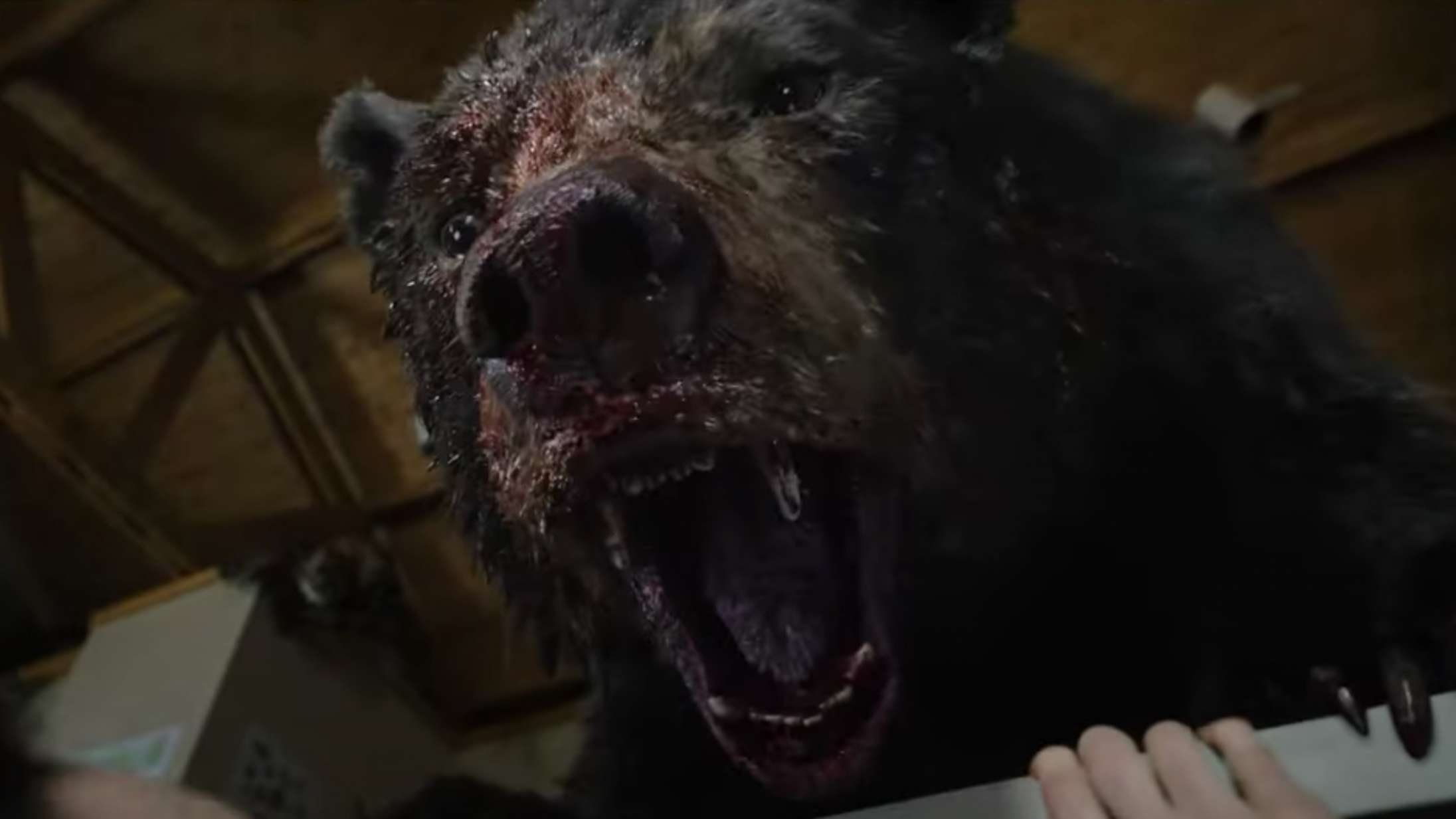 En bjørn tager kokain og går bersærk i den vilde trailer til ‘Cocaine Bear’