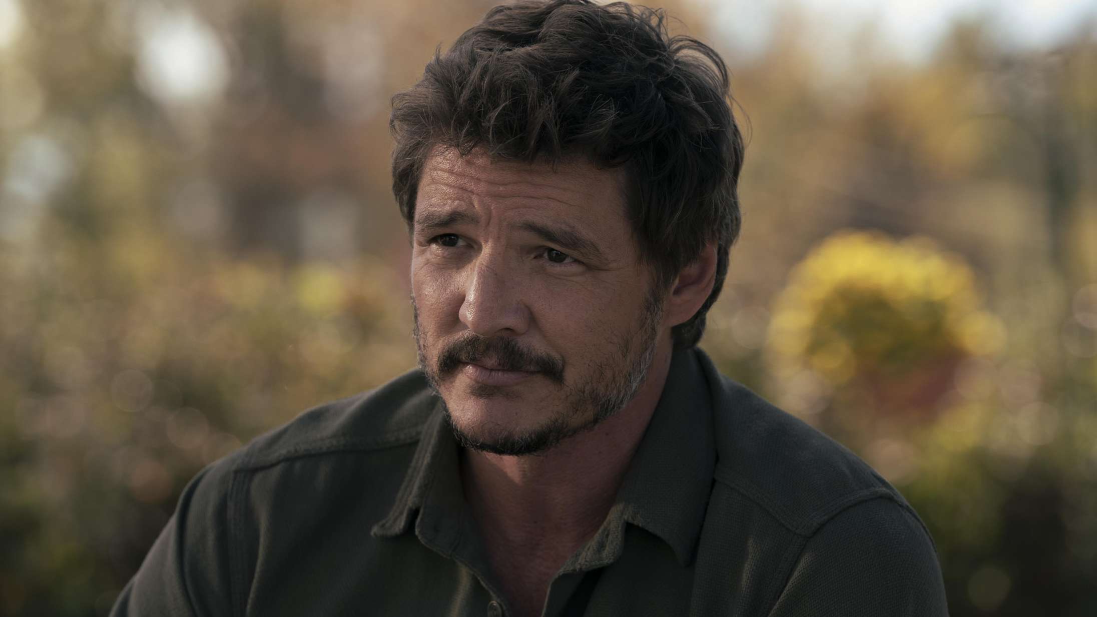 Pedro Pascal revser homofober på Instagram
